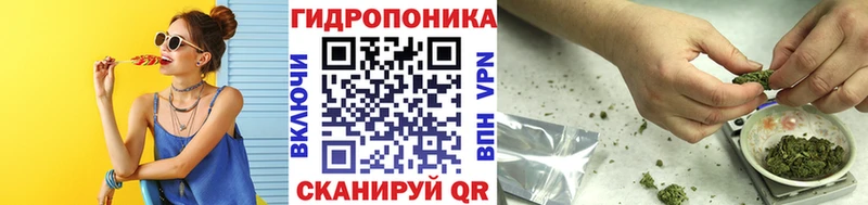 дарнет шоп  Александровск-Сахалинский  Конопля индика 